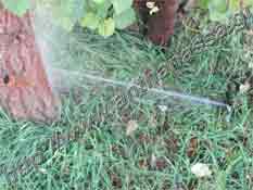 _Problematic installation of sprinklers.