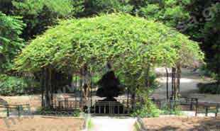 _Arch in National Garden.