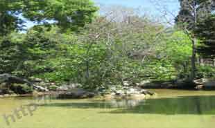 _Pond in National Garden.