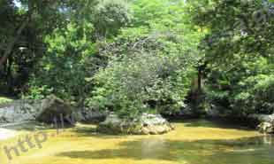 _Pond in National Garden.