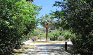 _Pathway in Pedion Areos.