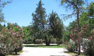 _Pathway in Pedion Areos.