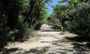 _Pathway in National Garden.