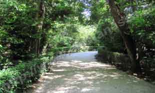 _Pathway in National Garden.