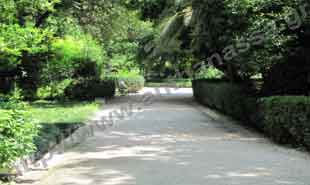 _Pathway in National Garden.