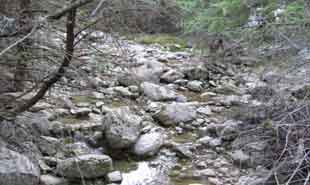 _Stream on mount Parnassus.