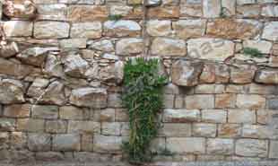 _Wall in National Garden.